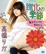 番号HAHOB-004封面图片主演:高橋りかed2k磁力链接迅雷下载
